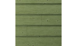 ST LOUIS Lame de bardage 20*123 SBN CL3 vert