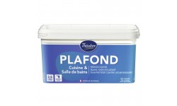 PEINTURE PLAFOND CUISINE & SALLE DE BAIN