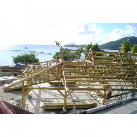 Structure / Poteau en Pin autoclavée Vert ou Marron