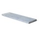 BLUESTONE COUVRE MUR PONCE VIET 100X25X4CM